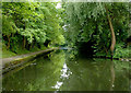 Grand Union Canal north-east of Acock