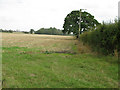 Field boundary near North Leaze Farm