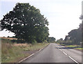 SO8955 : Pershore Lane north of Withy Wells by John Firth