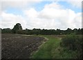 Permissive path near Coton