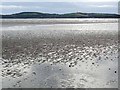 S7207 : Foreshore at Duncannon by Oliver Dixon