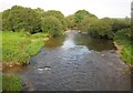 River Axe at Whitford