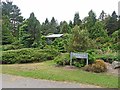 S7218 : Slow-growing conifer collection, JF Kennedy Memorial Arboretum by Oliver Dixon