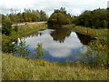 Pond, Banwen Pyrddin