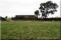 Hay barn in sheep field