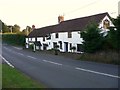 ST6924 : "The White Horse" at South Cheriton by Shazz