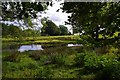 The little pond on the Northern edge of SO3005, above Pen-y-stair