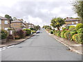 Staybrite Avenue - viewed from Fairy Dell