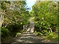 Footbridge in Duchess Wood