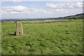 The gallops on Middleham Low Moor