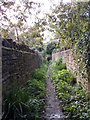 Footpath - Spa Lane