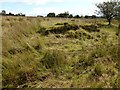 Remains of accommodation camp