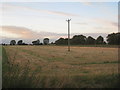 Pole in the middle of a field