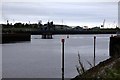 NZ5020 : The River Tees by Dock Point by Steve Daniels