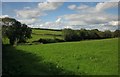 Grass fields at Blackdown Farm