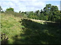 Rough grazing off Offchurch Lane