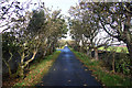 Lane to Seafield, Lerwick