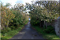 Lane to Seafield, Lerwick