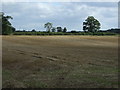 Farmland, Cloudesley Farm