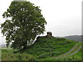 Remains of Dryslwyn castle