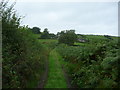 Bridleway near Llangyniew