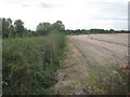 Field boundary near Bluebell Farm