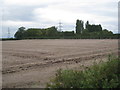 View near Bluebell Farm, Weston