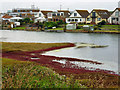 Widewater Lagoon