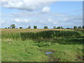 SP5190 : Crop field near Frolesworth by JThomas