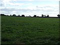 SP5493 : Farmland near Thorne Hill Farm by JThomas