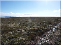NJ3019 : View looking south from the track leading to Little Geal Charn by Peter Aikman