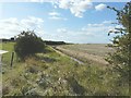 Looking west-southwest from Mustards Road