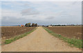 Road to High Ground Farm, near Little Hale