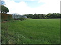 Field alongside Crosslands Nurseries near Barnham