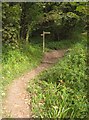 Coast path below Pinhay