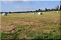 ST6797 : Silage bales at Park Farm by Philip Halling