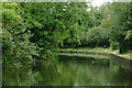 Grand Union Canal near South Yardley, Birmingham