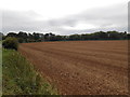 Fields Near Hunters Hall