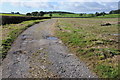 Farm road in a field