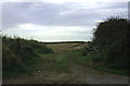 Field entrance off Lighthouse Road