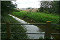 Drainage channel off Sand Lane