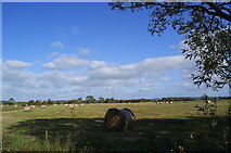 ST4233 : Hay bales on Sedgemoor by Pam Goodey