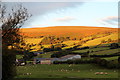 SO1252 : Evening Light, Cregrina, Powys by Christine Matthews
