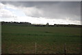 Farmland between the A2 and the railway line