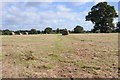 Hay field near Lowerstone Farm