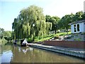 Narrowboats moored by canalside park homes