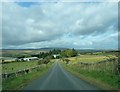 Sorbietrees from the road