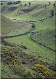 SK1960 : Descending from the north into Long Dale by Neil Theasby