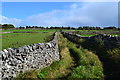 Green lane east of Greenhead, Biggin