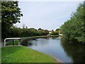 Stourbridge canal, above lock 15